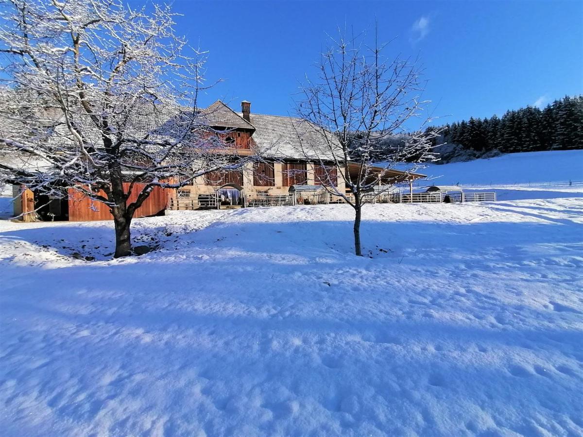 Staudachhof Apartment Althofen  Exterior photo