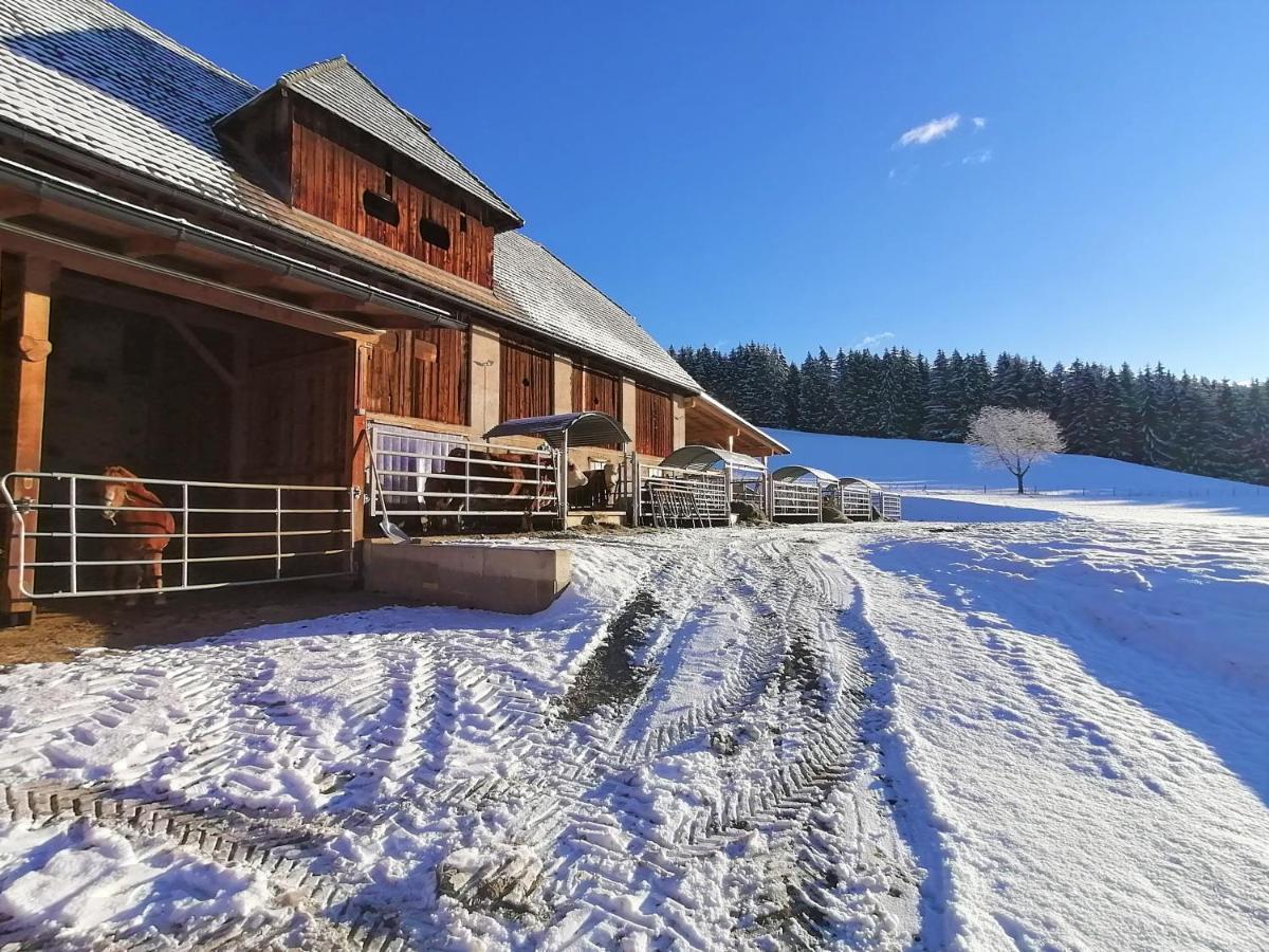 Staudachhof Apartment Althofen  Exterior photo
