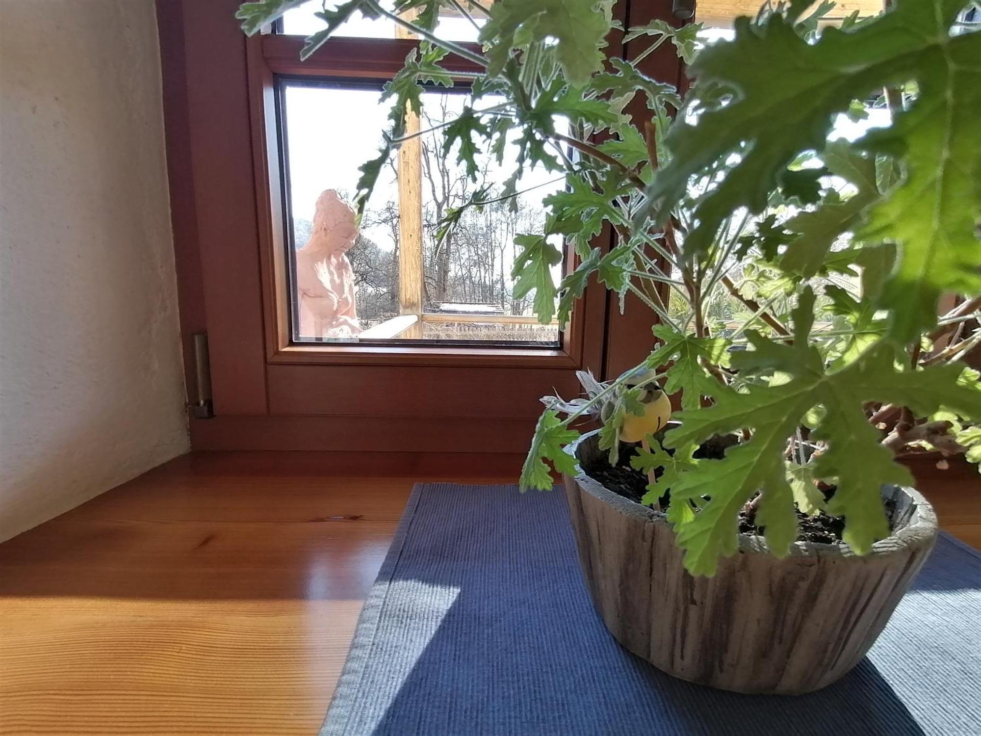 Staudachhof Apartment Althofen  Room photo